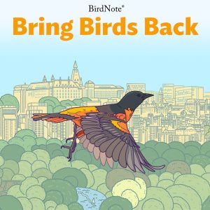 Bring Birds Back